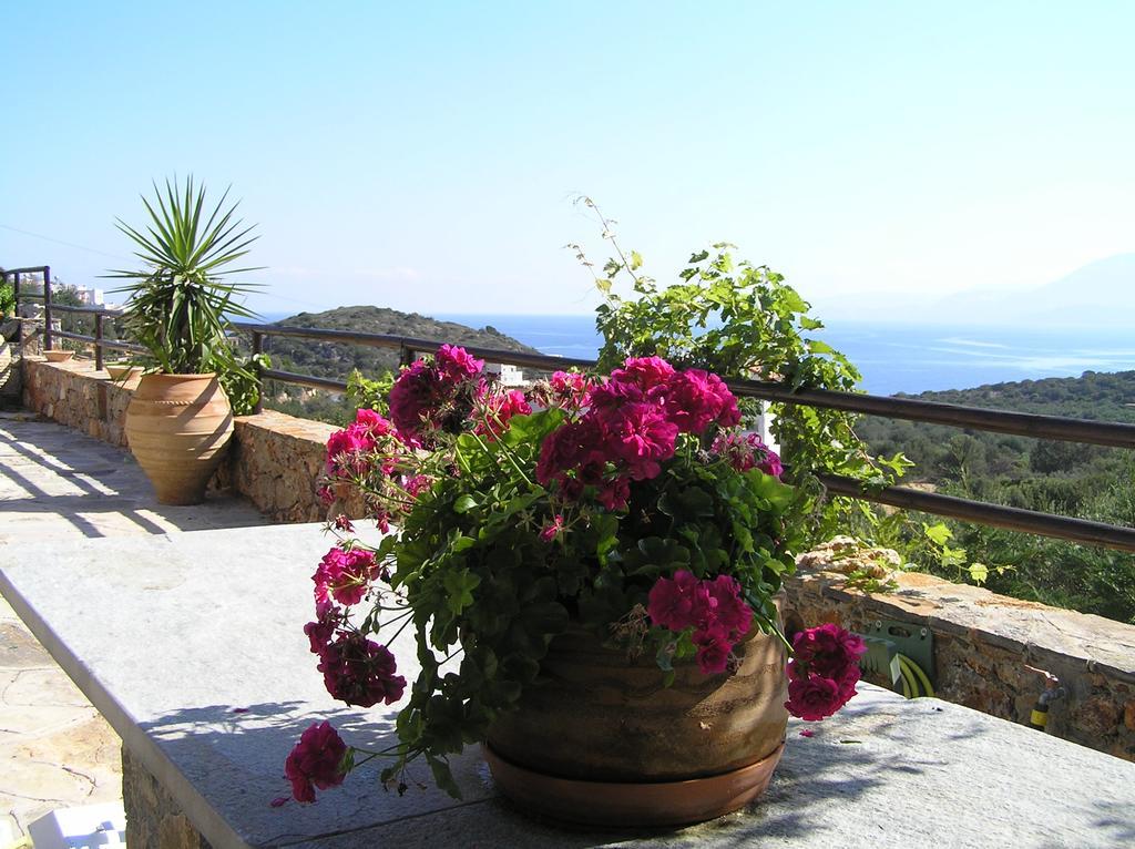 Fissi Villas Agritourism Accommodation Near The Sea Agios Nikolaos Extérieur photo